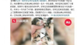 牙签最新爆料视频大全集,揭秘幕后真相，热点事件全解析