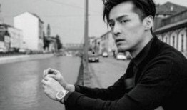 胡歌头条最新爆料,揭秘演艺圈不为人知的秘密