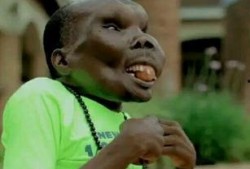 喜剧丑男爆料大全视频播放,笑料横生，揭秘娱乐圈幕后趣闻