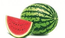 娱乐吃瓜模板图,揭秘明星们的幕后故事与精彩瞬间