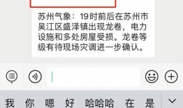 苏州爆料最新消息视频播放,视频揭秘事件真相，详情速览！