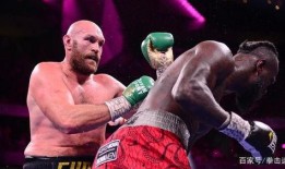 拳王富里最新爆料,最新动态与未来计划曝光