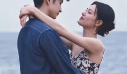 网友爆料张云龙事件视频,网友热议真相揭晓