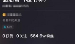 网红面筋爆料视频播放,揭秘幕后制作过程