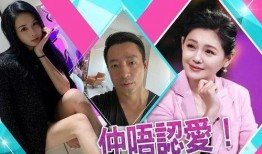 爆料汪小菲记者视频播放,揭秘娱乐圈幕后真相