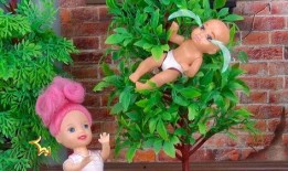 树婴在线观看,穿越时空的奇幻之旅