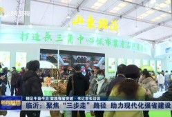 临沂都市爆料新闻最新,揭秘某神秘项目背后真相