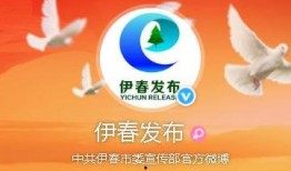 今日关注爆料辛巴818,揭秘背后真相与影响