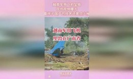 军用飞机最新爆料视频,军用飞机最新爆料视频深度解析