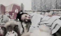 全国大狗爆料视频大全,笑料横生，宠物界的欢乐盛宴