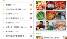 一个吃网红瓜的网站视频,视频内容深度解析