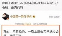 卓伟爆料袁娅维了吗视频,揭秘背后真相