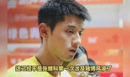 吃大瓜了娱乐圈,揭秘明星幕后故事