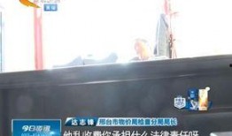 邢台爆料邢台家乐园视频,探秘邢台家乐园的繁华与魅力