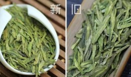 最新茶叶爆料,神秘新品横空出世，茶艺新风尚引领潮流