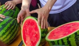 免费吃瓜攻略,揭秘各大平台福利，让你轻松享受美食盛宴