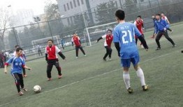 今日足球队爆料新闻最新,今日足球队独家爆料，揭秘转会内幕与赛场幕后故事